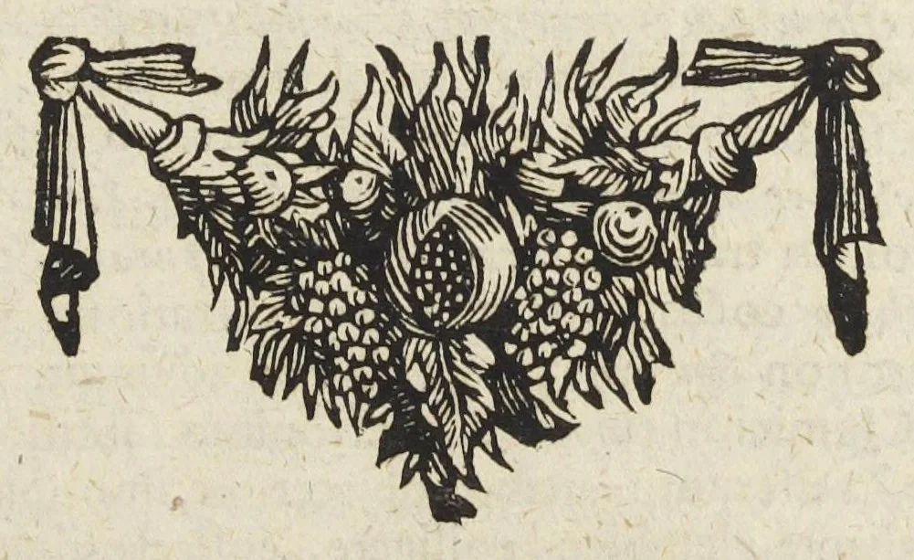 An illustration from Pharmacopoeia Augustana Restituta, sive Examen Animadversionum in Dispensatorium Augustanum, ejusdemque Mantissam hermeticam Joannis Zvelferi, Palatini adornatum à Luca Schröckio, Luc. Fil. Medic. Doct. & in Patria Physico.[Suivi de : ], 1673, leaf 49