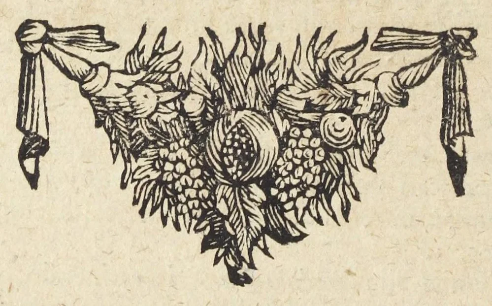 An illustration from Pharmacopoeia Augustana Restituta, sive Examen Animadversionum in Dispensatorium Augustanum, ejusdemque Mantissam hermeticam Joannis Zvelferi, Palatini adornatum à Luca Schröckio, Luc. Fil. Medic. Doct. & in Patria Physico.[Suivi de : ], 1673, leaf 502