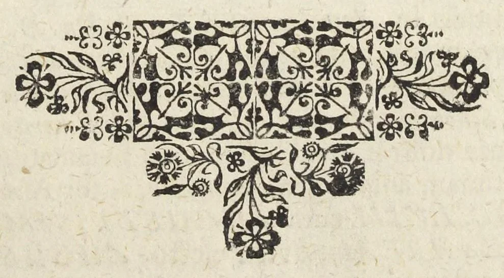 An illustration from Pharmacopoeia Augustana Restituta, sive Examen Animadversionum in Dispensatorium Augustanum, ejusdemque Mantissam hermeticam Joannis Zvelferi, Palatini adornatum à Luca Schröckio, Luc. Fil. Medic. Doct. & in Patria Physico.[Suivi de : ], 1673, leaf 99