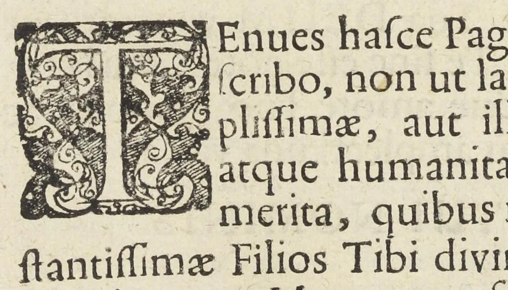 An illustration from Pharmacopoeiæ Augustanæ restitutæ ab ejus autore, Luca Schröckio, Luc. fil. medicinæ doctore, & in patriâ physico, suscepta defensio. Qua imprimis Dn. D. Friderici Hoffmanni argumentis, in clave pharmaceutica Schröderiana, contra prædictum dispensatorium, pro Zuelferi defensione, prolatis respondetur ; simulque cujusdam ficto nomine vocati Philonis Nasturtii postscriptum, & hanc respiciens Schmuziana antithesis excutitur., 1675, leaf 2