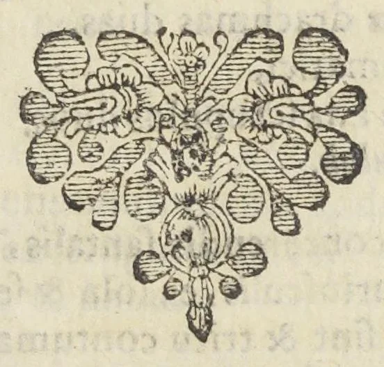 An illustration from Dispensatorium Hafniense jussu superiorum à medicis Hafniensibus adornatum Thomas Bartholinus publici juris fecit., 1658, leaf 101