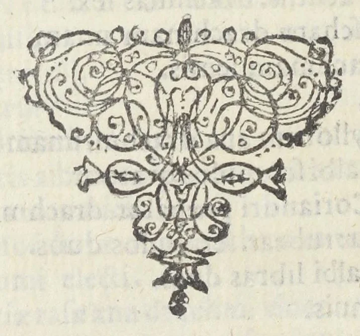 An illustration from Dispensatorium Hafniense jussu superiorum à medicis Hafniensibus adornatum Thomas Bartholinus publici juris fecit., 1658, leaf 124
