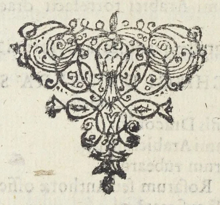 An illustration from Dispensatorium Hafniense jussu superiorum à medicis Hafniensibus adornatum Thomas Bartholinus publici juris fecit., 1658, leaf 134