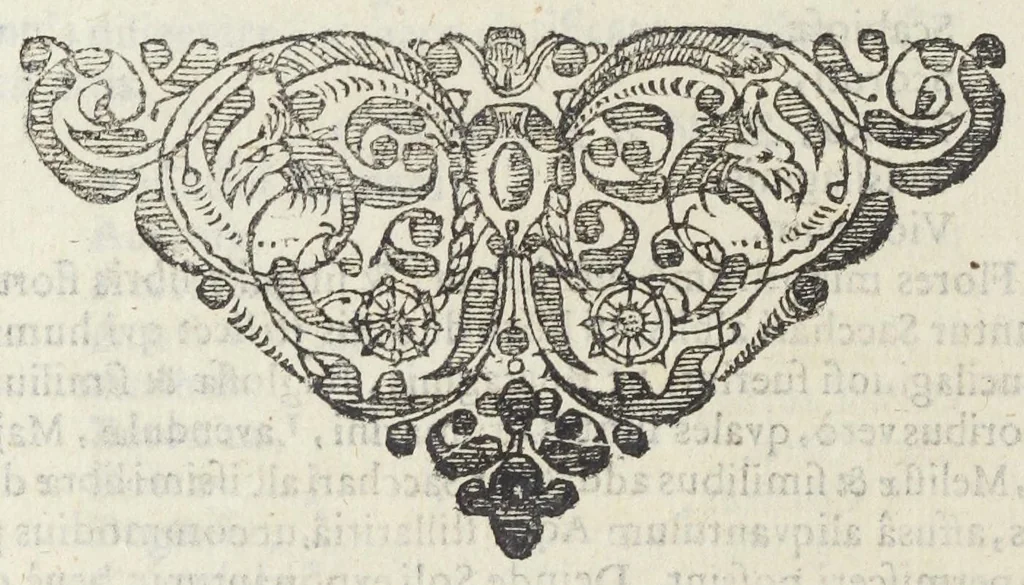 An illustration from Dispensatorium Hafniense jussu superiorum à medicis Hafniensibus adornatum Thomas Bartholinus publici juris fecit., 1658, leaf 162