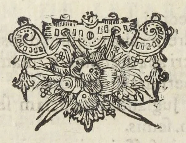 An illustration from Dispensatorium Hafniense jussu superiorum à medicis Hafniensibus adornatum Thomas Bartholinus publici juris fecit., 1658, leaf 192