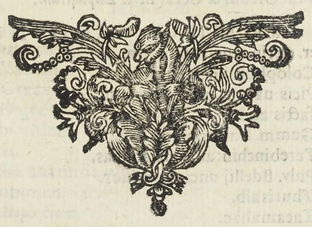 An illustration from Dispensatorium Hafniense jussu superiorum à medicis Hafniensibus adornatum Thomas Bartholinus publici juris fecit., 1658, leaf 219