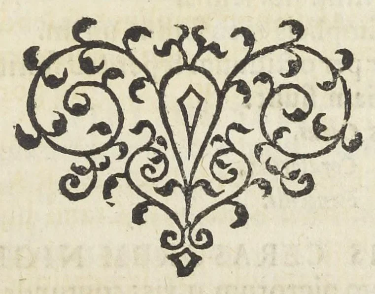 An illustration from Dispensatorium Hafniense jussu superiorum à medicis Hafniensibus adornatum Thomas Bartholinus publici juris fecit., 1658, leaf 257
