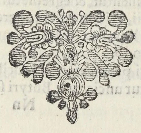 An illustration from Dispensatorium Hafniense jussu superiorum à medicis Hafniensibus adornatum Thomas Bartholinus publici juris fecit., 1658, leaf 294