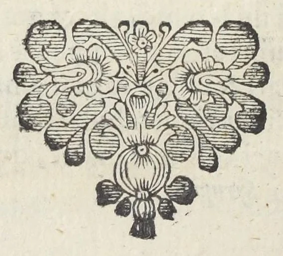 An illustration from Dispensatorium Hafniense jussu superiorum à medicis Hafniensibus adornatum Thomas Bartholinus publici juris fecit., 1658, leaf 36