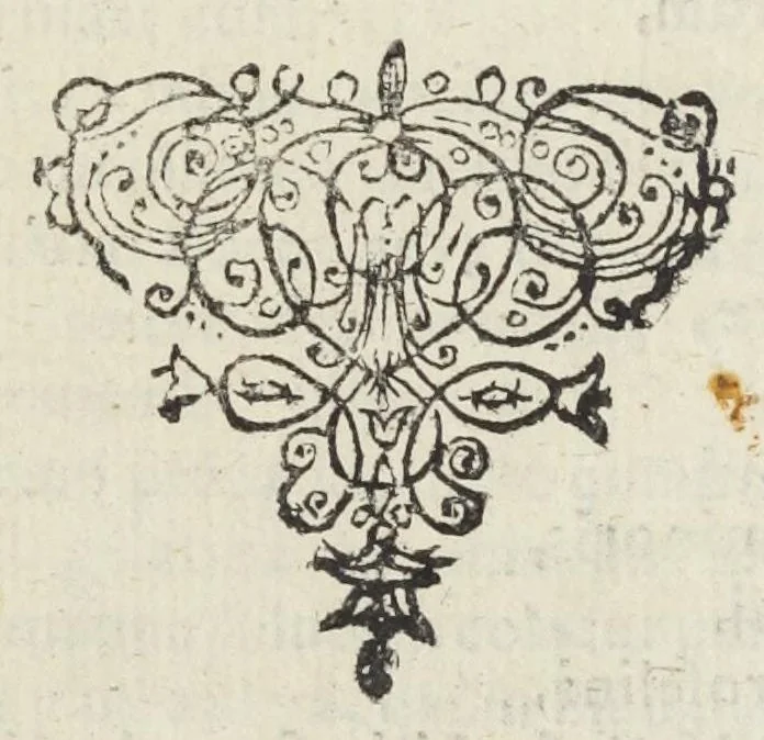 An illustration from Dispensatorium Hafniense jussu superiorum à medicis Hafniensibus adornatum Thomas Bartholinus publici juris fecit., 1658, leaf 41