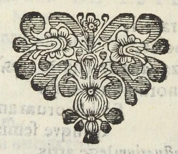 An illustration from Dispensatorium Hafniense jussu superiorum à medicis Hafniensibus adornatum Thomas Bartholinus publici juris fecit., 1658, leaf 48