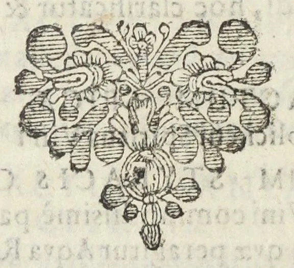 An illustration from Dispensatorium Hafniense jussu superiorum à medicis Hafniensibus adornatum Thomas Bartholinus publici juris fecit., 1658, leaf 80