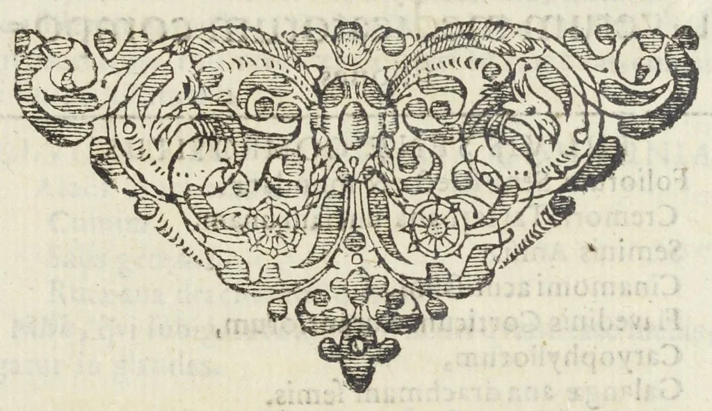 An illustration from Dispensatorium Hafniense jussu superiorum à medicis Hafniensibus adornatum Thomas Bartholinus publici juris fecit., 1658, leaf 87