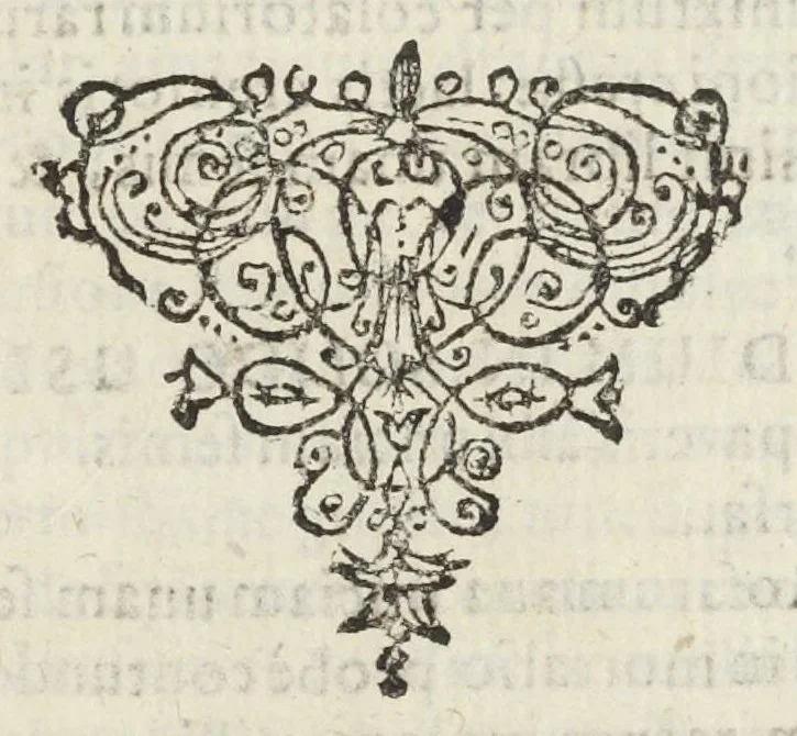 An illustration from Dispensatorium Hafniense jussu superiorum à medicis Hafniensibus adornatum Thomas Bartholinus publici juris fecit., 1658, leaf 97