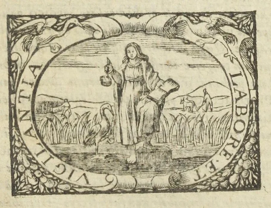 An illustration from Pharmacopoeia Augustana Reformata, et eius Mantissa. Cum animadversionibus, Joannis Zwelferi Palat. Med. Doct. Annexa ejusdem Autoris Pharmacopoeia Regia., 1653, leaf 829