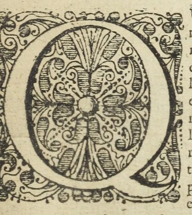 An illustration from Appendix ad Animadversiones in pharmacopoeiam augustanam, ejusque annexam Mantissam. Item ad Pharmacopoeiam Regiam seu Dispensatorium novum; In qua obscura explicantur, et notis perspicuis illustrantur, nova insuper & secretiora remedia adjiciuntur. Operâ & studio ejusdem authoris Joannis Zwelfer Palatini. M. D., 1658, leaf 16