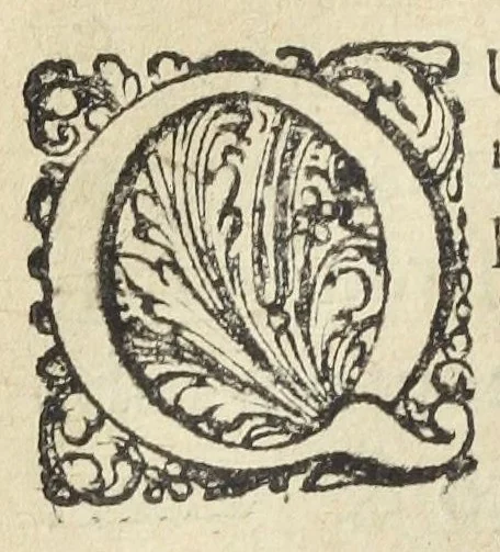 An illustration from Appendix ad Animadversiones in pharmacopoeiam augustanam, ejusque annexam Mantissam. Item ad Pharmacopoeiam Regiam seu Dispensatorium novum; In qua obscura explicantur, et notis perspicuis illustrantur, nova insuper & secretiora remedia adjiciuntur. Operâ & studio ejusdem authoris Joannis Zwelfer Palatini. M. D., 1658, leaf 5