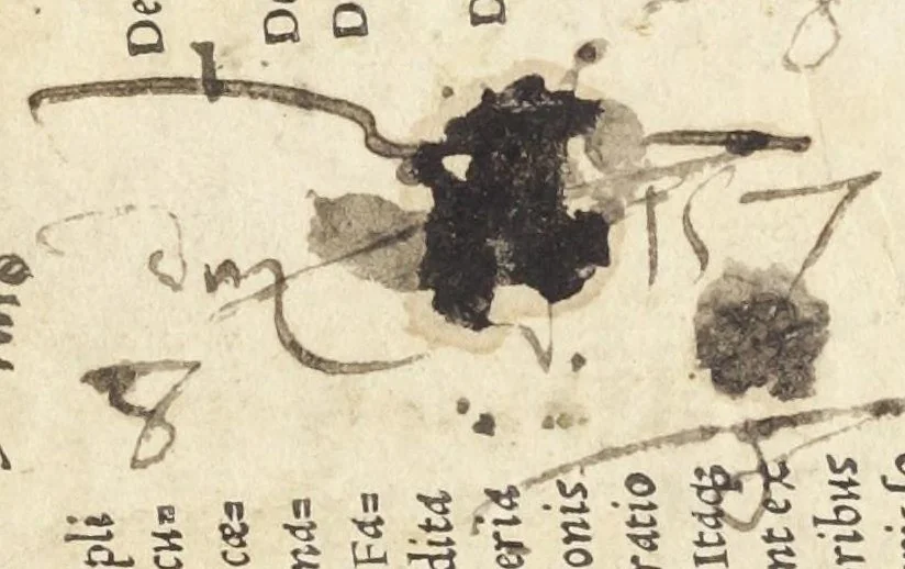 An illustration from Pillulariu[m] omnibus medicis q[uam] necessarium clarissimi docto. Magistri Panthaleonis. Summa lacticiniorum completa omnibus idonea ejusdem doctoris. Cautele medicorum no[n] inutiles clarissimi doctoris Magistri Gabrielis Zerbi Veronensis. Luz privilegio., 1525, leaf 79