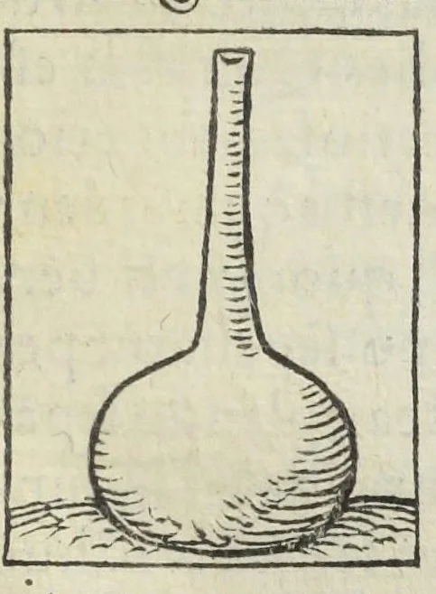 An illustration from Thesaurus Evonymi Philiatri, De remediis secretis, liber physicus, medicus, et partim etiam Chymicus, & œconomicus in vinorum diversi saporis apparatu, medicis & pharmacopolis omnibus præcipuè necessarius, nunc primum in lucem editus. Argumentum copiosius sequens pagella continet., 1554, leaf 149