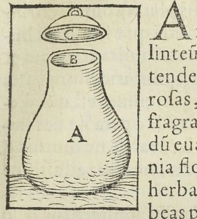 An illustration from Thesaurus Evonymi Philiatri, De remediis secretis, liber physicus, medicus, et partim etiam Chymicus, & œconomicus in vinorum diversi saporis apparatu, medicis & pharmacopolis omnibus præcipuè necessarius, nunc primum in lucem editus. Argumentum copiosius sequens pagella continet., 1554, leaf 299