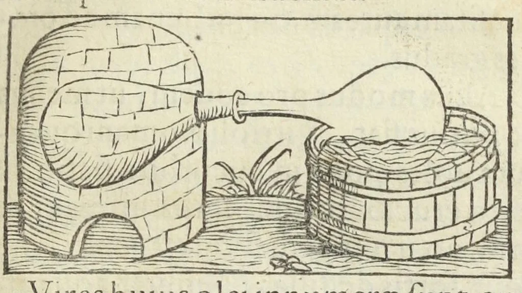 An illustration from Thesaurus Evonymi Philiatri, De remediis secretis, liber physicus, medicus, et partim etiam Chymicus, & œconomicus in vinorum diversi saporis apparatu, medicis & pharmacopolis omnibus præcipuè necessarius, nunc primum in lucem editus. Argumentum copiosius sequens pagella continet., 1554, leaf 435