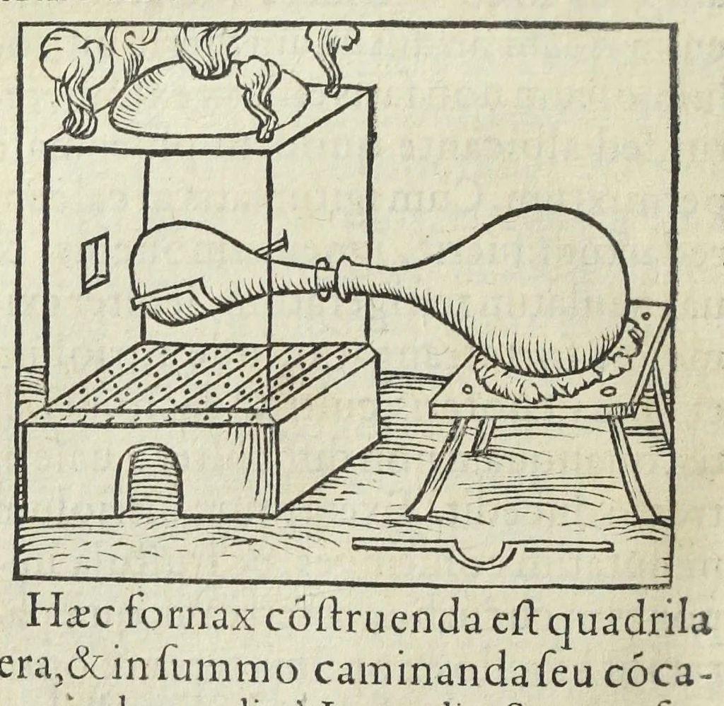 An illustration from Thesaurus Evonymi Philiatri, De remediis secretis, liber physicus, medicus, et partim etiam Chymicus, & œconomicus in vinorum diversi saporis apparatu, medicis & pharmacopolis omnibus præcipuè necessarius, nunc primum in lucem editus. Argumentum copiosius sequens pagella continet., 1554, leaf 442