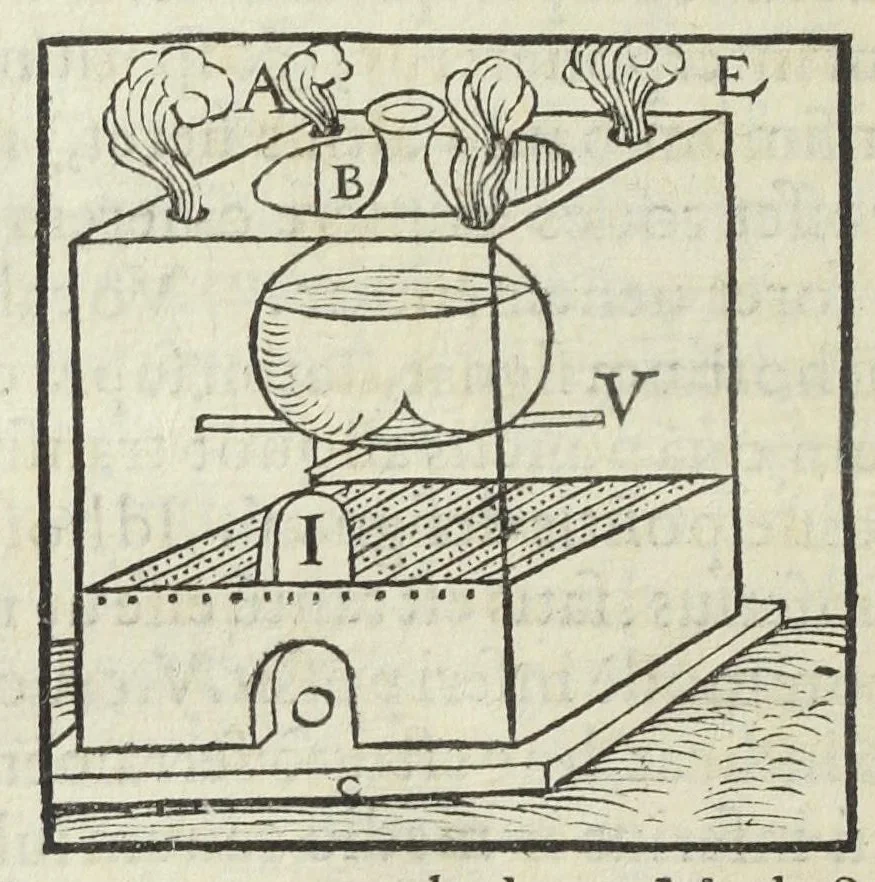 An illustration from Thesaurus Evonymi Philiatri, De remediis secretis, liber physicus, medicus, et partim etiam Chymicus, & œconomicus in vinorum diversi saporis apparatu, medicis & pharmacopolis omnibus præcipuè necessarius, nunc primum in lucem editus. Argumentum copiosius sequens pagella continet., 1554, leaf 94