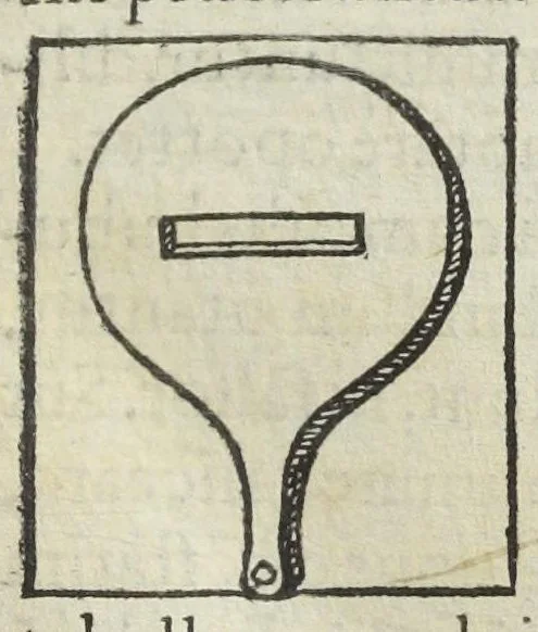 An illustration from Thesaurus Evonymi Philiatri, De remediis secretis, liber physicus, medicus, et partim etiam Chymicus, & œconomicus in vinorum diversi saporis apparatu, medicis & pharmacopolis omnibus præcipuè necessarius, nunc primum in lucem editus. Argumentum copiosius sequens pagella continet., 1554, leaf 95