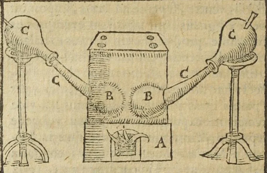 An illustration from Pax methodicorum, cum spagyricis. A Nob. Petro de Vege Sereniss. Ducis Sabaudiæ Medico. Cum epilepsiæ, podagræ, Hydrop. & Lepræ curatione. Accessit Conr. Gesneri Thesaurus Evonymi de remediis secretis nunc in lucem editus, diligentia Casp. Wolfii, Adjectis ingeniosis fornacum figuris. [Suivi de :] Conr. Gesneri Thesaurus Evonymi de remediis secretis. Nunc studio & diligentia Gaspari Vvelphij medici & physici singularis illustratus, & in lucem editus. Adiecimus in pharmacopolarum gratiam plurimas ingeniosas fornacum figuras, quo facilior haec materia & dilucidior habeatur., 1620, leaf 390