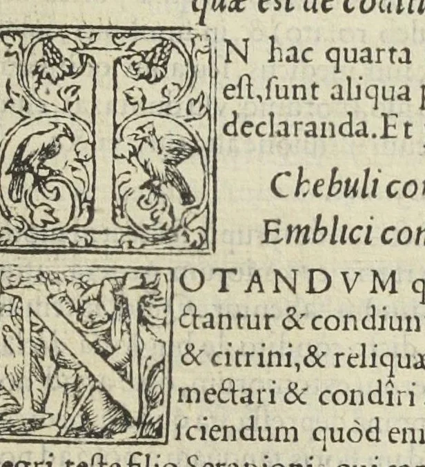 An illustration from In antidotarium Joannis filii Mesuae censura. Cum declaratione simplicium medicinarum et solutione multorum dubiorum ac difficilium terminorum(per venerandos patres et J.C servos, fratres Bartholomaeum Urbevelanum et Angelum Paleam Juvenatiensem). Ad haec receptarium cum suo repertorio in calce apposuimus. Opus sane tam medicinæ studiosis, quàm aromatariis necessarium., 1545, leaf 311