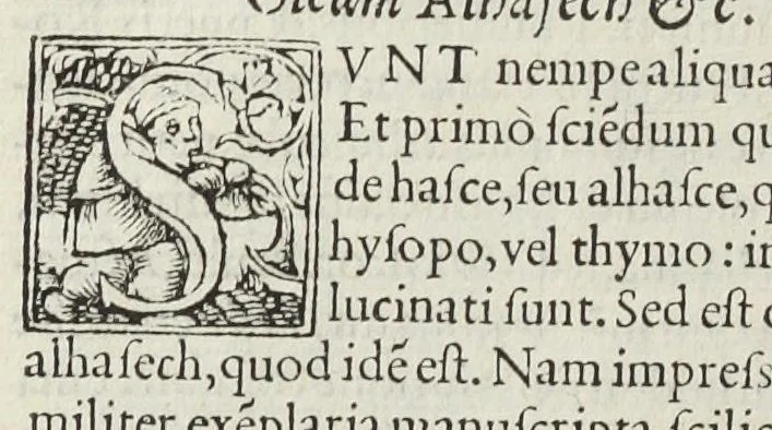 An illustration from In antidotarium Joannis filii Mesuae censura. Cum declaratione simplicium medicinarum et solutione multorum dubiorum ac difficilium terminorum(per venerandos patres et J.C servos, fratres Bartholomaeum Urbevelanum et Angelum Paleam Juvenatiensem). Ad haec receptarium cum suo repertorio in calce apposuimus. Opus sane tam medicinæ studiosis, quàm aromatariis necessarium., 1545, leaf 640