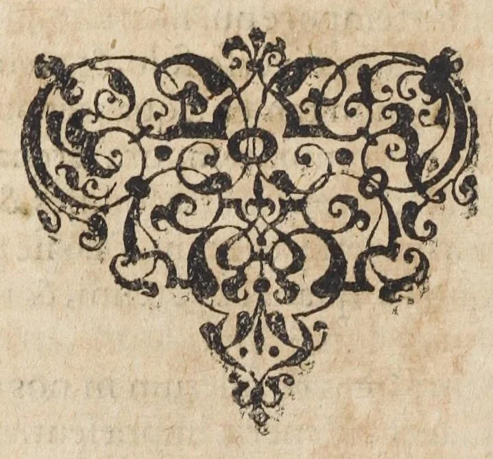 An illustration from Myrothecium spagyricum; sive Pharmacopoea chymica, occultis naturae arcanis, ex hermeticorum medicorum scriniis depromtis abunde illustrata. Item : Insignes curationes variorum morborum, qui medicamentis chymicis, jucundissimâ methodo curati fuêre. Cum Chirurgia spagyrica, in qua de morbis cutaneis omnibus, spagyricè & methodicè agitur, & curatio eorum cita, tuta, & jucunda tractatur. Auctore Petro Joanne Fabro, Castrinovidarensi, doctore medico, ac Philosopho Monspeliensi., 1632, leaf 302