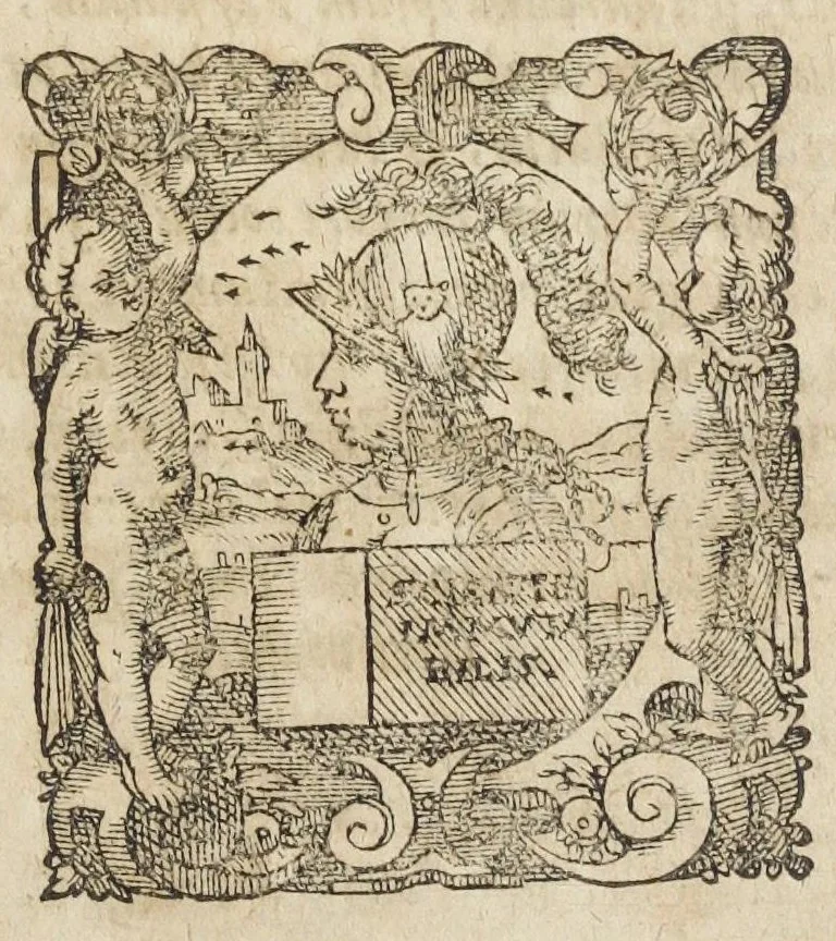 An illustration from Palladium Spagyricum. Petri Joannis Fabri, Doctoris Medici, Monspeliensis philochymici castronovodarensis. Editio secunda., 1632, leaf 0
