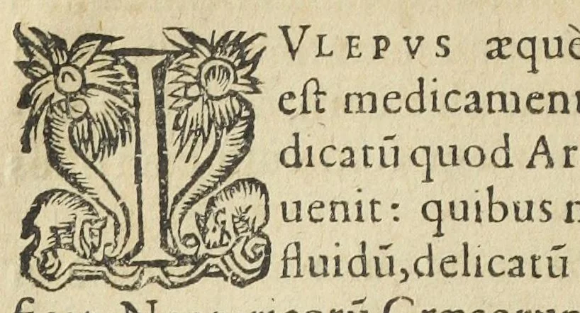 An illustration from Synopsis methodica pharmacorum omnium quæ in communi sunt practicantium usu, omnibus qui medicinæ factivæ studio tenentur, utilissima : in duos libros diducta. Authore Nicolao Dacier Trecensi, in celeberrima Monspeliensi Academia doctore medico., 1614, leaf 22