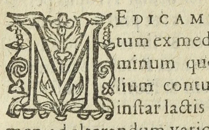 An illustration from Synopsis methodica pharmacorum omnium quæ in communi sunt practicantium usu, omnibus qui medicinæ factivæ studio tenentur, utilissima : in duos libros diducta. Authore Nicolao Dacier Trecensi, in celeberrima Monspeliensi Academia doctore medico., 1614, leaf 40