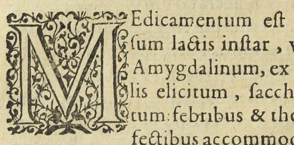 An illustration from Synopsis methodica pharmacorum omnium quæ in communi sunt practicantium usu, omnibus qui medicinæ factivæ studio tenentur, utilissima : in duos libros diducta. Authore Nicolao Dacier Trecensi, in celeberrima Monspeliensi Academia doctore medico., 1614, leaf 42