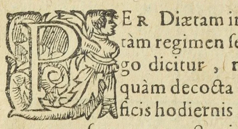 An illustration from Synopsis methodica pharmacorum omnium quæ in communi sunt practicantium usu, omnibus qui medicinæ factivæ studio tenentur, utilissima : in duos libros diducta. Authore Nicolao Dacier Trecensi, in celeberrima Monspeliensi Academia doctore medico., 1614, leaf 52