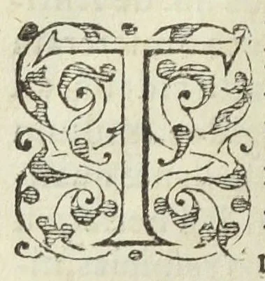 An illustration from Pharmacopoeia, medicamentorum omnium quae hodie ad publica medentium munia Officinis extant, tractationem & usum ex antiquorum medicorum praescripto continens, pharmacopoeis omnibus, atque etiam iis qui opus factitant medicum, valde utilis & necessaria. Anutio Foesio ... Ad Carolum Lotharingium ..., 1561, leaf 142