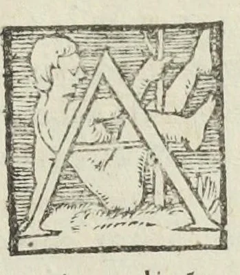 An illustration from Pharmacopoeia, medicamentorum omnium quae hodie ad publica medentium munia Officinis extant, tractationem & usum ex antiquorum medicorum praescripto continens, pharmacopoeis omnibus, atque etiam iis qui opus factitant medicum, valde utilis & necessaria. Anutio Foesio ... Ad Carolum Lotharingium ..., 1561, leaf 461
