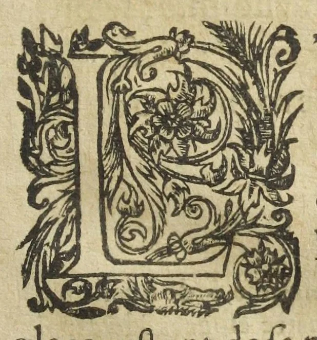 An illustration from Les XIV. livres des Paragraphes de Ph. Théoph. Paracelse Bombast, Allemand; tres grand & tres-excellent Philosophe, & tres-celebre Docteur en la Medecine, prince des medecins hermetiques & spagiriques. Où sont contenus en Epitome ses secrets admirables, tant physiques que chirurgiques, pour la curation tres-certaine & methodique des maladies estimées incurables; A sçavoir la lèpre, l'épilepsie, hydropisie, paralisie, phtisie, asthme, dissenterie, gonorrhées, accidents de matrice, fièvres, & autres. Plus un abrégé des préparations chimiques de tous simples, végétaux, animaux & métalliques; trouvé escript de la main de Paracelse, avec le moyen asseuré de les administrer en toutes maladies. Un autre discours excellent de l'alchimie, du mesme autheur, contre les erreurs & abus de la mMedecine humorale & Galenique, contenant des choses tres-rares & utilles. Traduicts du latin en françois, avec explications et annotations tres-amples. Par C. de Sarcilly, Escuyer, sieur de Montgautier, Cauville, Culey, Canon, &c. tres-expert en la doctrine Paracelsique. Oeuvres non encor veus, & tres-necessaires à tous Medecins, Chirurgiens, Apothiquaires, & à tous gens curieux de leur santé., 1631, leaf 101