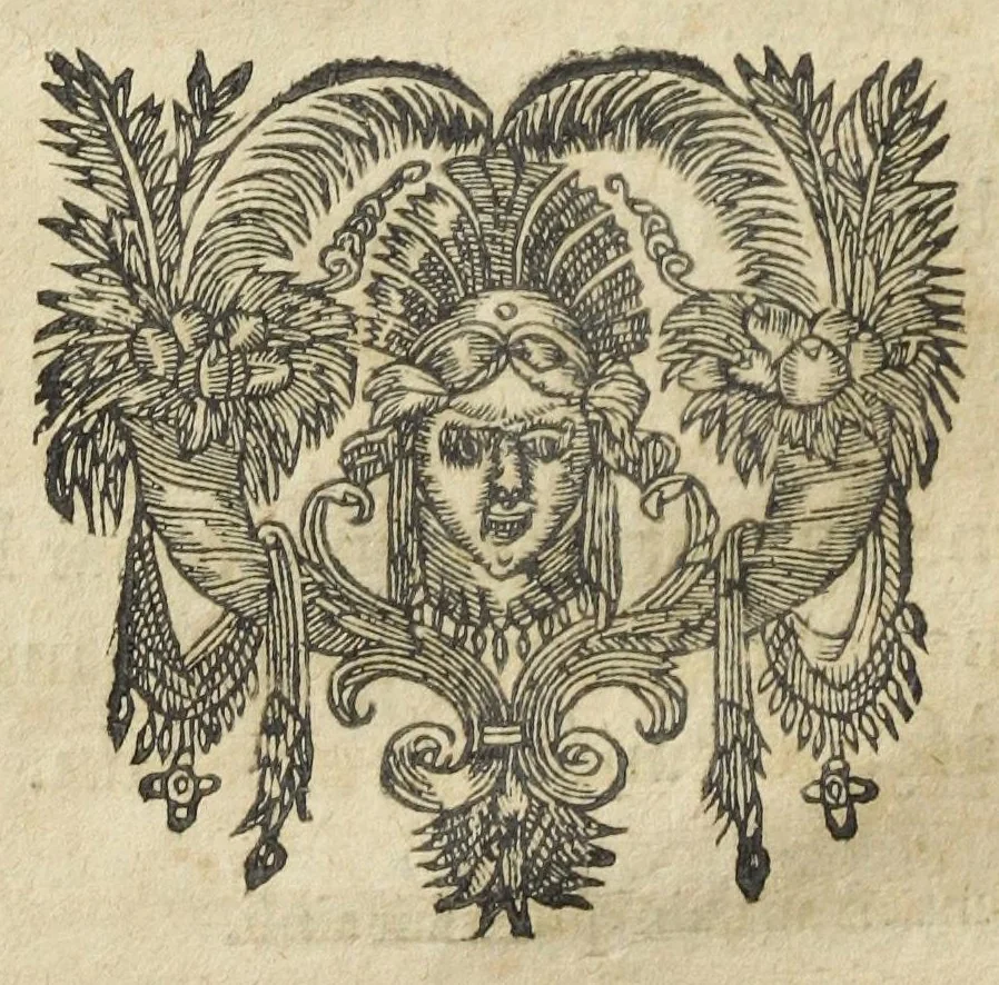 An illustration from Les XIV. livres des Paragraphes de Ph. Théoph. Paracelse Bombast, Allemand; tres grand & tres-excellent Philosophe, & tres-celebre Docteur en la Medecine, prince des medecins hermetiques & spagiriques. Où sont contenus en Epitome ses secrets admirables, tant physiques que chirurgiques, pour la curation tres-certaine & methodique des maladies estimées incurables; A sçavoir la lèpre, l'épilepsie, hydropisie, paralisie, phtisie, asthme, dissenterie, gonorrhées, accidents de matrice, fièvres, & autres. Plus un abrégé des préparations chimiques de tous simples, végétaux, animaux & métalliques; trouvé escript de la main de Paracelse, avec le moyen asseuré de les administrer en toutes maladies. Un autre discours excellent de l'alchimie, du mesme autheur, contre les erreurs & abus de la mMedecine humorale & Galenique, contenant des choses tres-rares & utilles. Traduicts du latin en françois, avec explications et annotations tres-amples. Par C. de Sarcilly, Escuyer, sieur de Montgautier, Cauville, Culey, Canon, &c. tres-expert en la doctrine Paracelsique. Oeuvres non encor veus, & tres-necessaires à tous Medecins, Chirurgiens, Apothiquaires, & à tous gens curieux de leur santé., 1631, leaf 114