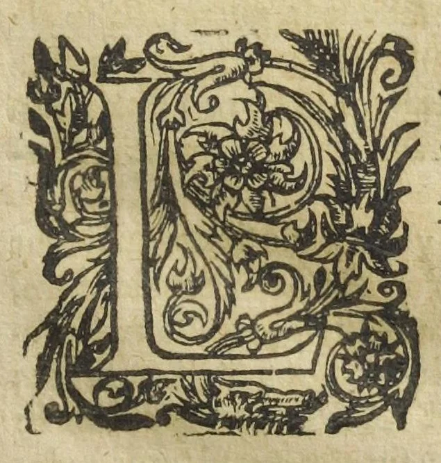 An illustration from Les XIV. livres des Paragraphes de Ph. Théoph. Paracelse Bombast, Allemand; tres grand & tres-excellent Philosophe, & tres-celebre Docteur en la Medecine, prince des medecins hermetiques & spagiriques. Où sont contenus en Epitome ses secrets admirables, tant physiques que chirurgiques, pour la curation tres-certaine & methodique des maladies estimées incurables; A sçavoir la lèpre, l'épilepsie, hydropisie, paralisie, phtisie, asthme, dissenterie, gonorrhées, accidents de matrice, fièvres, & autres. Plus un abrégé des préparations chimiques de tous simples, végétaux, animaux & métalliques; trouvé escript de la main de Paracelse, avec le moyen asseuré de les administrer en toutes maladies. Un autre discours excellent de l'alchimie, du mesme autheur, contre les erreurs & abus de la mMedecine humorale & Galenique, contenant des choses tres-rares & utilles. Traduicts du latin en françois, avec explications et annotations tres-amples. Par C. de Sarcilly, Escuyer, sieur de Montgautier, Cauville, Culey, Canon, &c. tres-expert en la doctrine Paracelsique. Oeuvres non encor veus, & tres-necessaires à tous Medecins, Chirurgiens, Apothiquaires, & à tous gens curieux de leur santé., 1631, leaf 115