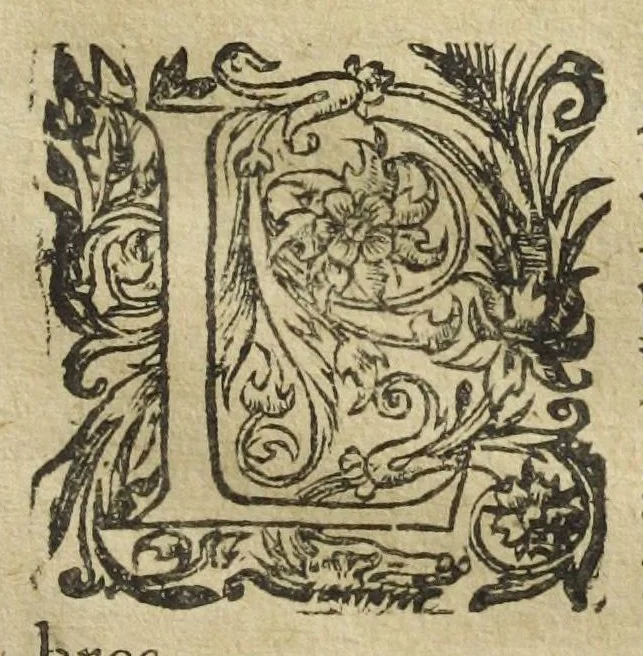 An illustration from Les XIV. livres des Paragraphes de Ph. Théoph. Paracelse Bombast, Allemand; tres grand & tres-excellent Philosophe, & tres-celebre Docteur en la Medecine, prince des medecins hermetiques & spagiriques. Où sont contenus en Epitome ses secrets admirables, tant physiques que chirurgiques, pour la curation tres-certaine & methodique des maladies estimées incurables; A sçavoir la lèpre, l'épilepsie, hydropisie, paralisie, phtisie, asthme, dissenterie, gonorrhées, accidents de matrice, fièvres, & autres. Plus un abrégé des préparations chimiques de tous simples, végétaux, animaux & métalliques; trouvé escript de la main de Paracelse, avec le moyen asseuré de les administrer en toutes maladies. Un autre discours excellent de l'alchimie, du mesme autheur, contre les erreurs & abus de la mMedecine humorale & Galenique, contenant des choses tres-rares & utilles. Traduicts du latin en françois, avec explications et annotations tres-amples. Par C. de Sarcilly, Escuyer, sieur de Montgautier, Cauville, Culey, Canon, &c. tres-expert en la doctrine Paracelsique. Oeuvres non encor veus, & tres-necessaires à tous Medecins, Chirurgiens, Apothiquaires, & à tous gens curieux de leur santé., 1631, leaf 129