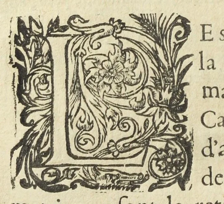 An illustration from Les XIV. livres des Paragraphes de Ph. Théoph. Paracelse Bombast, Allemand; tres grand & tres-excellent Philosophe, & tres-celebre Docteur en la Medecine, prince des medecins hermetiques & spagiriques. Où sont contenus en Epitome ses secrets admirables, tant physiques que chirurgiques, pour la curation tres-certaine & methodique des maladies estimées incurables; A sçavoir la lèpre, l'épilepsie, hydropisie, paralisie, phtisie, asthme, dissenterie, gonorrhées, accidents de matrice, fièvres, & autres. Plus un abrégé des préparations chimiques de tous simples, végétaux, animaux & métalliques; trouvé escript de la main de Paracelse, avec le moyen asseuré de les administrer en toutes maladies. Un autre discours excellent de l'alchimie, du mesme autheur, contre les erreurs & abus de la mMedecine humorale & Galenique, contenant des choses tres-rares & utilles. Traduicts du latin en françois, avec explications et annotations tres-amples. Par C. de Sarcilly, Escuyer, sieur de Montgautier, Cauville, Culey, Canon, &c. tres-expert en la doctrine Paracelsique. Oeuvres non encor veus, & tres-necessaires à tous Medecins, Chirurgiens, Apothiquaires, & à tous gens curieux de leur santé., 1631, leaf 158