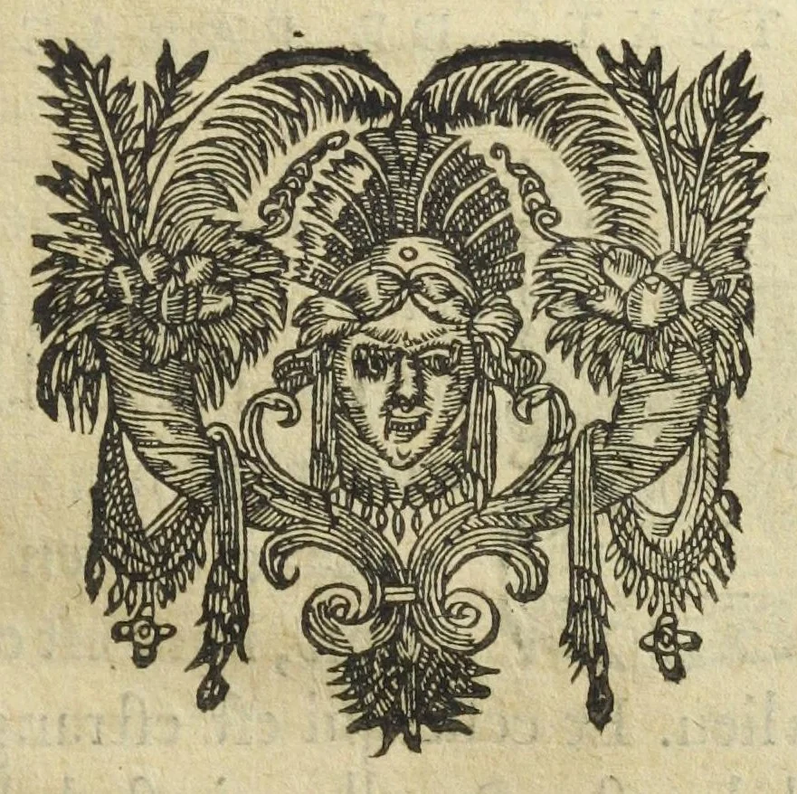 An illustration from Les XIV. livres des Paragraphes de Ph. Théoph. Paracelse Bombast, Allemand; tres grand & tres-excellent Philosophe, & tres-celebre Docteur en la Medecine, prince des medecins hermetiques & spagiriques. Où sont contenus en Epitome ses secrets admirables, tant physiques que chirurgiques, pour la curation tres-certaine & methodique des maladies estimées incurables; A sçavoir la lèpre, l'épilepsie, hydropisie, paralisie, phtisie, asthme, dissenterie, gonorrhées, accidents de matrice, fièvres, & autres. Plus un abrégé des préparations chimiques de tous simples, végétaux, animaux & métalliques; trouvé escript de la main de Paracelse, avec le moyen asseuré de les administrer en toutes maladies. Un autre discours excellent de l'alchimie, du mesme autheur, contre les erreurs & abus de la mMedecine humorale & Galenique, contenant des choses tres-rares & utilles. Traduicts du latin en françois, avec explications et annotations tres-amples. Par C. de Sarcilly, Escuyer, sieur de Montgautier, Cauville, Culey, Canon, &c. tres-expert en la doctrine Paracelsique. Oeuvres non encor veus, & tres-necessaires à tous Medecins, Chirurgiens, Apothiquaires, & à tous gens curieux de leur santé., 1631, leaf 165