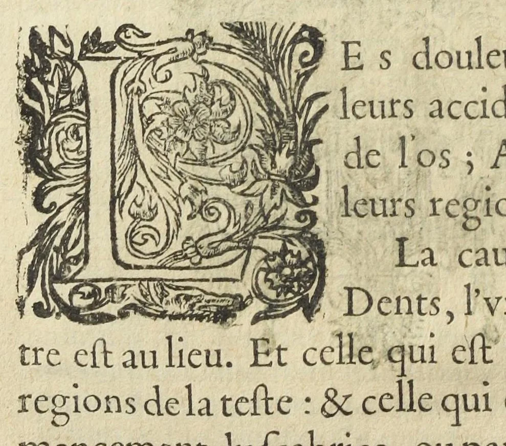 An illustration from Les XIV. livres des Paragraphes de Ph. Théoph. Paracelse Bombast, Allemand; tres grand & tres-excellent Philosophe, & tres-celebre Docteur en la Medecine, prince des medecins hermetiques & spagiriques. Où sont contenus en Epitome ses secrets admirables, tant physiques que chirurgiques, pour la curation tres-certaine & methodique des maladies estimées incurables; A sçavoir la lèpre, l'épilepsie, hydropisie, paralisie, phtisie, asthme, dissenterie, gonorrhées, accidents de matrice, fièvres, & autres. Plus un abrégé des préparations chimiques de tous simples, végétaux, animaux & métalliques; trouvé escript de la main de Paracelse, avec le moyen asseuré de les administrer en toutes maladies. Un autre discours excellent de l'alchimie, du mesme autheur, contre les erreurs & abus de la mMedecine humorale & Galenique, contenant des choses tres-rares & utilles. Traduicts du latin en françois, avec explications et annotations tres-amples. Par C. de Sarcilly, Escuyer, sieur de Montgautier, Cauville, Culey, Canon, &c. tres-expert en la doctrine Paracelsique. Oeuvres non encor veus, & tres-necessaires à tous Medecins, Chirurgiens, Apothiquaires, & à tous gens curieux de leur santé., 1631, leaf 166