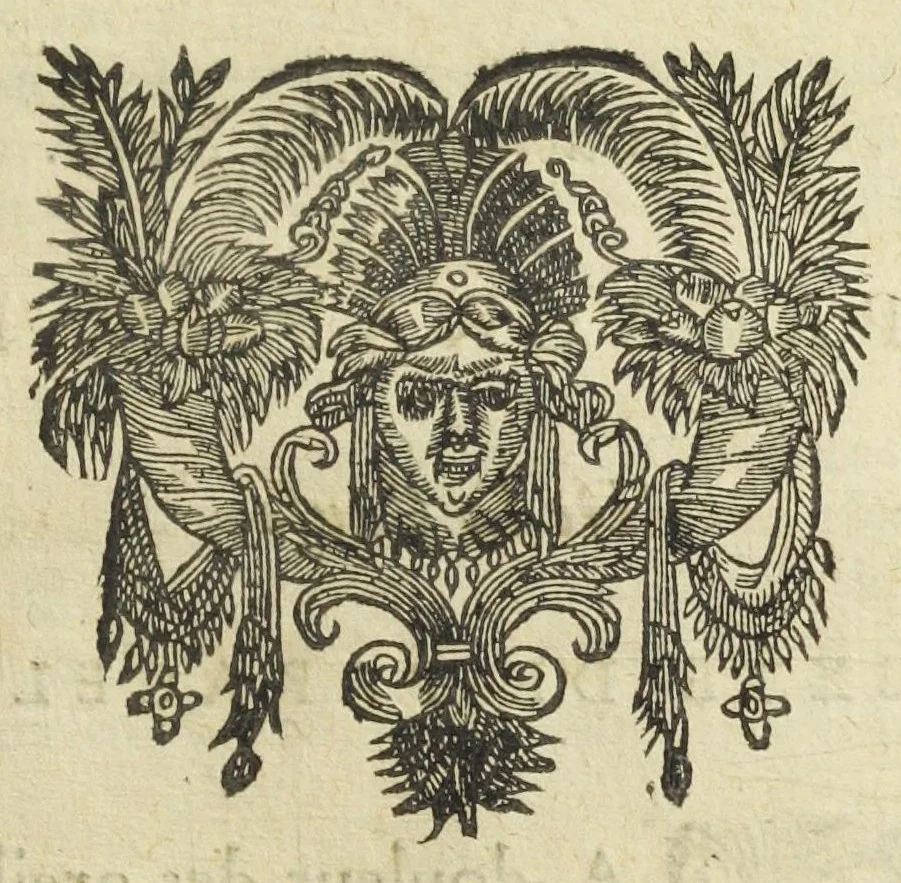 An illustration from Les XIV. livres des Paragraphes de Ph. Théoph. Paracelse Bombast, Allemand; tres grand & tres-excellent Philosophe, & tres-celebre Docteur en la Medecine, prince des medecins hermetiques & spagiriques. Où sont contenus en Epitome ses secrets admirables, tant physiques que chirurgiques, pour la curation tres-certaine & methodique des maladies estimées incurables; A sçavoir la lèpre, l'épilepsie, hydropisie, paralisie, phtisie, asthme, dissenterie, gonorrhées, accidents de matrice, fièvres, & autres. Plus un abrégé des préparations chimiques de tous simples, végétaux, animaux & métalliques; trouvé escript de la main de Paracelse, avec le moyen asseuré de les administrer en toutes maladies. Un autre discours excellent de l'alchimie, du mesme autheur, contre les erreurs & abus de la mMedecine humorale & Galenique, contenant des choses tres-rares & utilles. Traduicts du latin en françois, avec explications et annotations tres-amples. Par C. de Sarcilly, Escuyer, sieur de Montgautier, Cauville, Culey, Canon, &c. tres-expert en la doctrine Paracelsique. Oeuvres non encor veus, & tres-necessaires à tous Medecins, Chirurgiens, Apothiquaires, & à tous gens curieux de leur santé., 1631, leaf 169