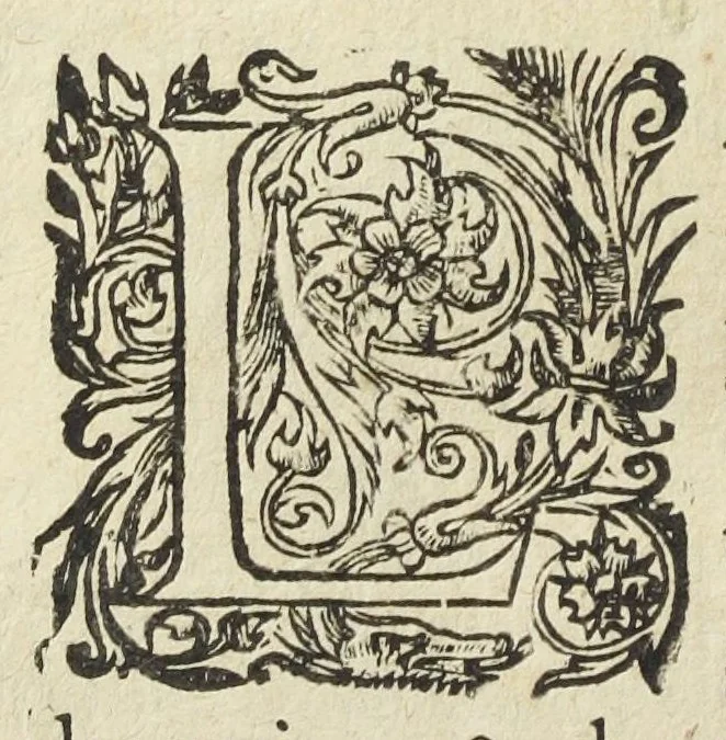 An illustration from Les XIV. livres des Paragraphes de Ph. Théoph. Paracelse Bombast, Allemand; tres grand & tres-excellent Philosophe, & tres-celebre Docteur en la Medecine, prince des medecins hermetiques & spagiriques. Où sont contenus en Epitome ses secrets admirables, tant physiques que chirurgiques, pour la curation tres-certaine & methodique des maladies estimées incurables; A sçavoir la lèpre, l'épilepsie, hydropisie, paralisie, phtisie, asthme, dissenterie, gonorrhées, accidents de matrice, fièvres, & autres. Plus un abrégé des préparations chimiques de tous simples, végétaux, animaux & métalliques; trouvé escript de la main de Paracelse, avec le moyen asseuré de les administrer en toutes maladies. Un autre discours excellent de l'alchimie, du mesme autheur, contre les erreurs & abus de la mMedecine humorale & Galenique, contenant des choses tres-rares & utilles. Traduicts du latin en françois, avec explications et annotations tres-amples. Par C. de Sarcilly, Escuyer, sieur de Montgautier, Cauville, Culey, Canon, &c. tres-expert en la doctrine Paracelsique. Oeuvres non encor veus, & tres-necessaires à tous Medecins, Chirurgiens, Apothiquaires, & à tous gens curieux de leur santé., 1631, leaf 170