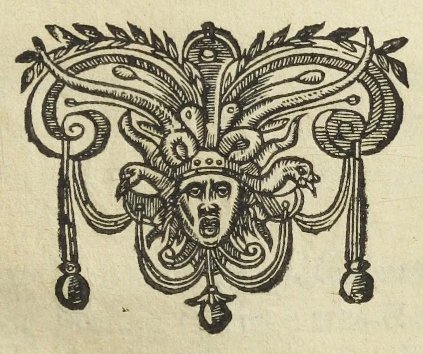 An illustration from Les XIV. livres des Paragraphes de Ph. Théoph. Paracelse Bombast, Allemand; tres grand & tres-excellent Philosophe, & tres-celebre Docteur en la Medecine, prince des medecins hermetiques & spagiriques. Où sont contenus en Epitome ses secrets admirables, tant physiques que chirurgiques, pour la curation tres-certaine & methodique des maladies estimées incurables; A sçavoir la lèpre, l'épilepsie, hydropisie, paralisie, phtisie, asthme, dissenterie, gonorrhées, accidents de matrice, fièvres, & autres. Plus un abrégé des préparations chimiques de tous simples, végétaux, animaux & métalliques; trouvé escript de la main de Paracelse, avec le moyen asseuré de les administrer en toutes maladies. Un autre discours excellent de l'alchimie, du mesme autheur, contre les erreurs & abus de la mMedecine humorale & Galenique, contenant des choses tres-rares & utilles. Traduicts du latin en françois, avec explications et annotations tres-amples. Par C. de Sarcilly, Escuyer, sieur de Montgautier, Cauville, Culey, Canon, &c. tres-expert en la doctrine Paracelsique. Oeuvres non encor veus, & tres-necessaires à tous Medecins, Chirurgiens, Apothiquaires, & à tous gens curieux de leur santé., 1631, leaf 175