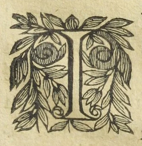 An illustration from Les XIV. livres des Paragraphes de Ph. Théoph. Paracelse Bombast, Allemand; tres grand & tres-excellent Philosophe, & tres-celebre Docteur en la Medecine, prince des medecins hermetiques & spagiriques. Où sont contenus en Epitome ses secrets admirables, tant physiques que chirurgiques, pour la curation tres-certaine & methodique des maladies estimées incurables; A sçavoir la lèpre, l'épilepsie, hydropisie, paralisie, phtisie, asthme, dissenterie, gonorrhées, accidents de matrice, fièvres, & autres. Plus un abrégé des préparations chimiques de tous simples, végétaux, animaux & métalliques; trouvé escript de la main de Paracelse, avec le moyen asseuré de les administrer en toutes maladies. Un autre discours excellent de l'alchimie, du mesme autheur, contre les erreurs & abus de la mMedecine humorale & Galenique, contenant des choses tres-rares & utilles. Traduicts du latin en françois, avec explications et annotations tres-amples. Par C. de Sarcilly, Escuyer, sieur de Montgautier, Cauville, Culey, Canon, &c. tres-expert en la doctrine Paracelsique. Oeuvres non encor veus, & tres-necessaires à tous Medecins, Chirurgiens, Apothiquaires, & à tous gens curieux de leur santé., 1631, leaf 177